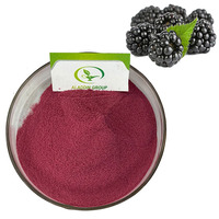 Kosher Top Kwaliteit Gevriesdroogde Black Raspberry Poeder Zwarte Raspberry Extract