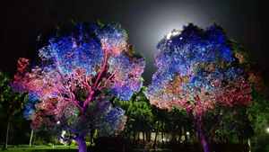 Luces Dinámicas Impermeables IP65 para Iluminación de Árboles y Calles - Product Image 1