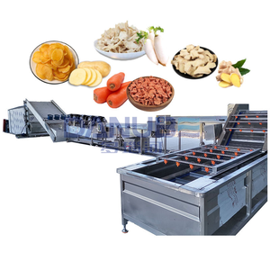 Secador de Banda de Alta Capacidad a Gas para Taro, Rábanos, Zanahorias, Patatas y Jengibre - Product Image 1