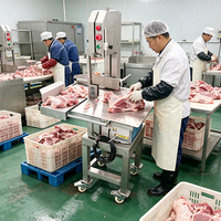 Scie à os électrique industrielle YouBan, machine à découper les os et la viande congelée, usage intensif
