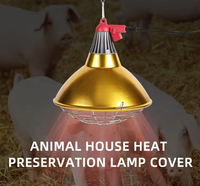 Lampe chauffante infrarouge halogène antidéflagrante 300W IP65 étanche 110V AC pour éleveuse, lumière chaude pour poulets et chiens