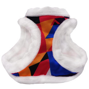 犬ハーネス服冬プリントぬいぐるみファッションスタイル小型ペット用品パーソナライズ猫ハーネスDropshipping - Product Image 4