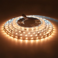 Bande lumineuse LED adressable RGBCCT DC24V 23W 60LEDs/m 10Pixels/m SMD5050 IC FW1906 Dream Color Digital Led Stripe