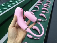 Kleiner Delfin-Saugmassager mit Leck- und Vibrationsfunktion & Vibrationsstab mit 10 Frequenzen, Silikon, wiederaufladbar für Erwachsenen-Vergnügen