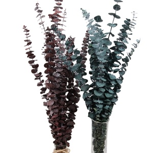 Décoration murale, feuilles d'<span class=keywords><strong>eucalyptus</strong></span> séchées blanches, couronne de fleurs, <span class=keywords><strong>guirlande</strong></span> de fleurs séchées préservées - Product Image 1