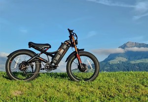 Vélo à double batterie 52V 20Ah*2, autonomie étendue, moteur 250W, vélo électrique d'aventure avec chargeur rapide pour longues balades - Product Image 3
