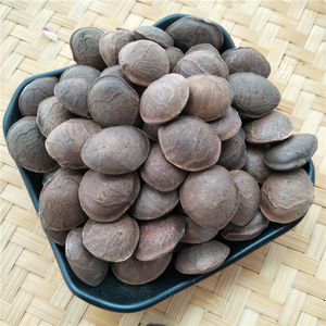 หยินเจียกั๋ว ขายส่งซาชาอินชีออร์แกนิกแห้ง (Plukenetia Volubilis) สำหรับทำน้ำมัน - Product Image 4