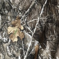 Tissu imperméable en polaire berbère laminé TPU à 3 couches, camouflage Realtree, softshell