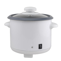 Mini cuiseur à riz électrique de l'acier inoxydable 1.0L