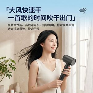 Hair Dryer High Speed Ionic Negative Ion DC Motor Constant Temperature Protection Home Use Quiet Operation European Standard - Product Image 4