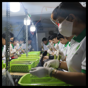 Pailles en bambou écologiques de haute qualité peu coûteuses et prêtes à être expédiées du Vietnam pour les occasions de bar - Product Image 1