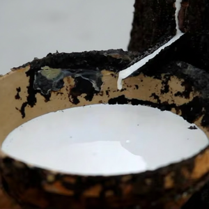 Látex de Caucho Natural de Alta Calidad, Látex Líquido HA 60% DRC, Grado Premium para Moldeo, Materia Prima en Bidones - Product Image 1