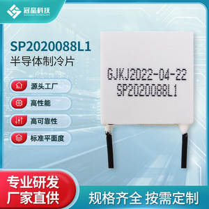 Chip de Refrigeración Termoeléctrico SP2020088L1 Semiconductor de Alta Eficiencia para Enfriadores de Agua y Refrigeradores de Vehículos - Product Image 4