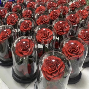 Lovebay Factory Direct Real KonservierteBlumen Long Life Flores naturales Flores estabilizadas Preservadas Eternal Rose Glass Dome - Product Image 3