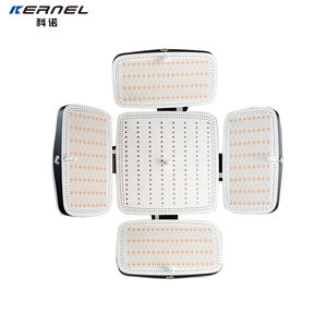 2024Kernel Alopecia instrumen pertumbuhan rambut tumbuh kembali transplantasi LLLT Laser dioda pertumbuhan rambut Laser untuk produk rambut rontok - Product Image 2