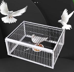 Jaula trampa para <span class=keywords><strong>palomas</strong></span> y pájaros <span class=keywords><strong>de</strong></span> Metal <span class=keywords><strong>de</strong></span> alta calidad con puerta <span class=keywords><strong>de</strong></span> alambre <span class=keywords><strong>de</strong></span> Metal, trampa para animales <span class=keywords><strong>de</strong></span> hierro - Product Image 1