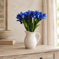 Bouquet d'iris artificiels Real Touch Alice en caoutchouc souple pour mariage, décoration florale d'intérieur, vente en gros