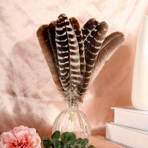 12-14in Vente en gros <span class=keywords><strong>Pas</strong></span> <span class=keywords><strong>cher</strong></span> Barred Turkey Quills Plumes <span class=keywords><strong>d</strong></span>'aile pour l'artisanat de montage de mouches <span class=keywords><strong>D</strong></span>écorations de coiffure indienne - Product Image 6