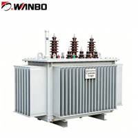 Transformador de Distribución de Baja Pérdida, Inmerso en Aceite, de Alto Rendimiento, Personalizable Según Norma IEC Wanbo-119, el Más Popular
