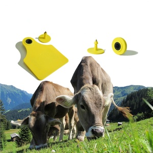Étiquette d'oreille RFID UHF 840-960 MHz pour l'identification des animaux, gestion du bétail et élevage, pour l'étiquetage des animaux - Product Image 5