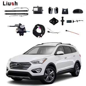 Oferta Especial: Portón Trasero Eléctrico Automático de Venta Directa de Fábrica Liush para Hyundai Santa Fe 2018+ con Sensor de Apertura por Patada - Product Image 1