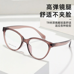 Monturas de Gafas Camellia Cat Eye 28051, Montura Completa de Resina Ligera, Unisex - Product Image 5