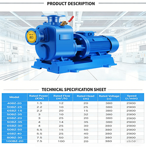 Bomba de Agua Centrífuga de Succión Horizontal para Suministro de Agua Industrial y Agrícola - Product Image 4