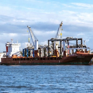 Gru da Ponte Marina Idraulica da 15 Tonnellate a Basso Rumore Certificata CE per Allevamenti Ittici Galleggianti - Product Image 5