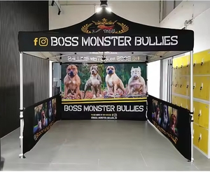 Quảng cáo thương mại Logo ngoài trời nhôm 10x10 Tán lều triển lãm sự kiện marquee gazebos tán bật lên tùy chỉnh in lều - Product Image 3