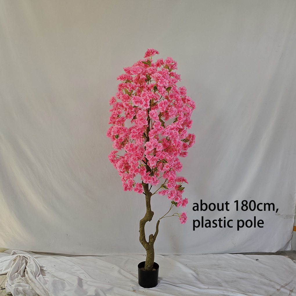 #6 (about 180cm)