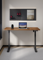 Bureau électrique à hauteur réglable à moteur unique, design moderne, structure métallique, couleur personnalisable, version e-commerce incluse