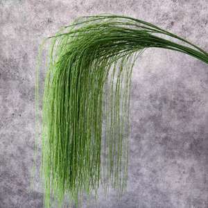 Décoration de mariage style forêt : Fleurs artificielles, plantes vertes dorées à mille couches, herbe de la meste pour arrangements paysagers - Product Image 3