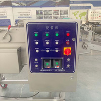 Machine Commerciale Automatique d'Enrobage de Pâtes Alimentaires pour Ligne de Panification de Poulet, Poisson et Légumes