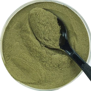 Extracto de Algas Marinas Premium en Polvo, Superalimento Natural Rico en Yodo, Minerales y Nutrientes Traza para el Bienestar Diario - Product Image 6