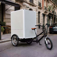 Scooter électrique avec boîte arrière, Velomobile, Vélo cargo à 3 roues, Cadre de trike cargo, Vélo cargo à charge lourde avec boîte, Boîte arrière, Vélo utilitaire, Camionnette cargo