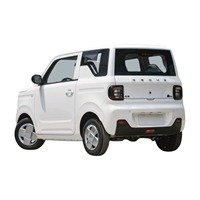 Mobil Mini Geely Panda 2024 Terbaru, Penggerak Roda Belakang, Mini Hatchback Listrik, Kendaraan Energi Baru dengan Kemudi Kiri EV