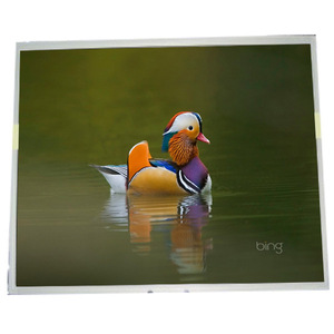 Écran LCD LM170E03-TLHB 17,0 pouces 1280*1024 pour moniteur de bureau, module LCD - Product Image 1