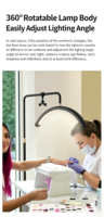 Lampe demi-lune sur pied en acier inoxydable de 24 pouces pour esthéticiennes, tatoueurs et salons