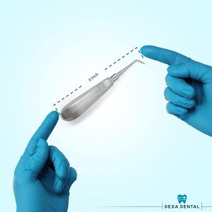 Ensemble d'élévateurs dentaires Dexa, Periotome de luxation, Osteotome de Molt apical, Instruments chirurgicaux buccaux professionnels - Product Image 5