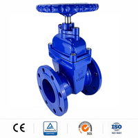Vanne à opercule en fonte ductile à double bride, à siège résistant à l'eau, à tige non montante, pour conduit traversant, DN50, pour aspiration de pompe de barrage