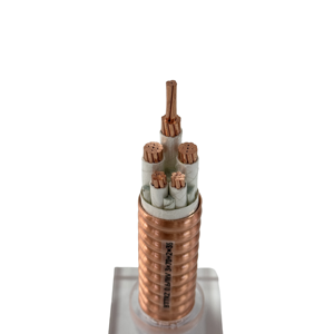 BTTRZ YTTW كابل معدني <span class=keywords><strong>2</strong></span> <span class=keywords><strong>3</strong></span> 5 XLPE ألومنيوم 6 10 16 25 35 50 70 متر مربع للبناء الصناعي نقل الطاقة - Product Image 6