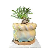 Pot de fleurs pour plantes succulentes, respirant, résistant à la corrosion, modulaire, minimaliste, effet illusion, couleur éblouissante, céramique électro-plaquée