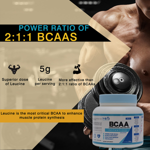 Poudre de <span class=keywords><strong>BCAA</strong></span> en vrac YOUTH <span class=keywords><strong>Pure</strong></span> 2:1:1 500g Complément nutritionnel sportif pour adultes Récupération musculaire L-Leucine L-Isoleucine Valine Dose de 5g - Product Image 6