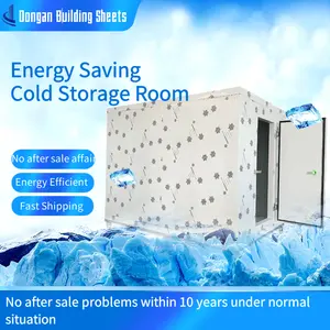 Fast Shipping Movable Cold Storage Room Frozen Food Container Cold Room Freezer Made In China