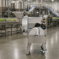 Multifunctionele roestvrijstalen groente- en fruitsnijmachine, wortel- en aardappelsnijder, plantainchipsnijmachine