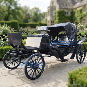 Chariot de chevaux de luxe personnalisable de haute qualité pour le tourisme et les mariages, en vente chaude - Product Image 1