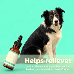 Formule efficace probiotiques pour chiens Stock prêt expédition rapide probiotiques en gros pour animaux de compagnie - Product Image 5