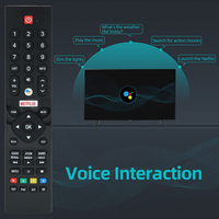 Control Remoto Universal Inteligente con Voz HUAYU PN-V1 para Televisores LED LCD Panasonic