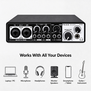 2 Giriş 4 Çıkış Ses Kartı FA22 USB Ses Kartı, PC Mac Bilgisayar Kaydı Podcast Yayını Canlı Yayın için Mikrofon Preamp'ları ile - Product Image 4