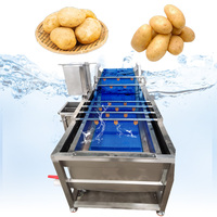 Olijven-dadels was-, sorteer-, ontpit-, koel-, droog-, vul-, verpakkings- en reinigingsmachines voor dadels